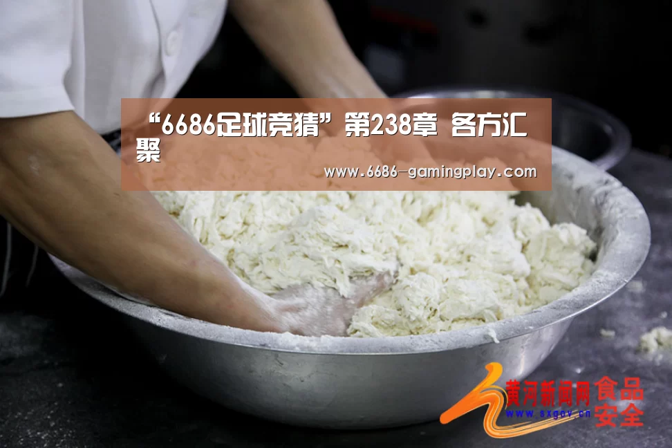 “6686足球竞猜”第238章 各方汇聚(图2) 6686电竞赛事
