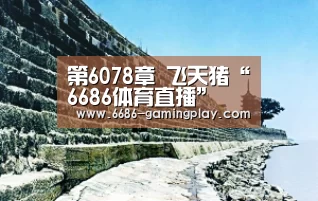 6686APP下载